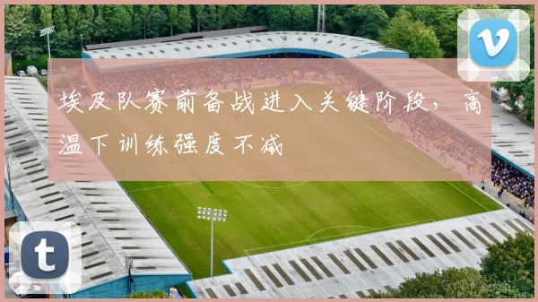 埃及队赛前备战进入关键阶段，高温下训练强度不减