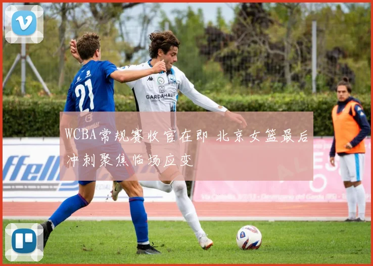 WCBA常规赛收官在即 北京女篮最后冲刺聚焦临场应变