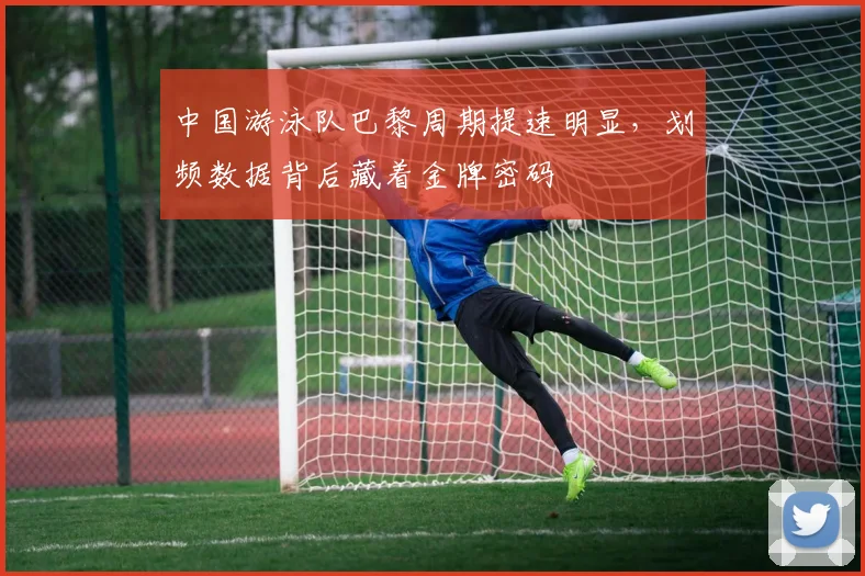 中国游泳队巴黎周期提速明显，划频数据背后藏着金牌密码